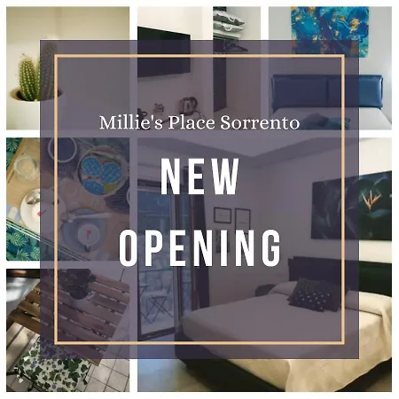 Millie's Place